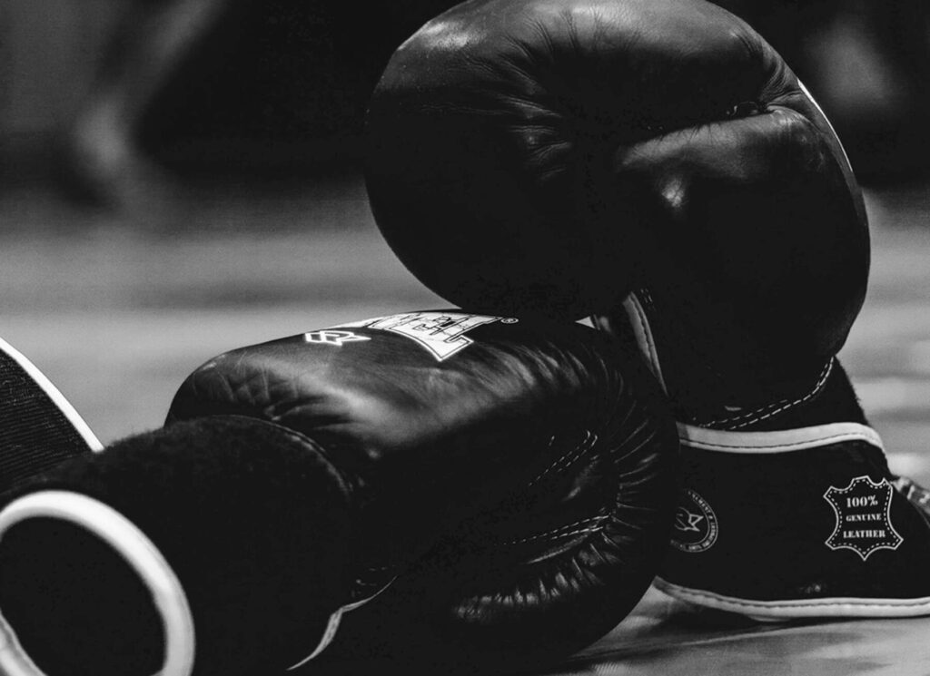 Boxing gloves